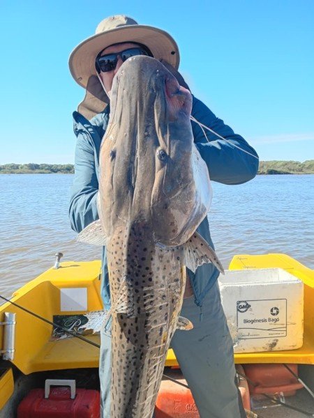 Pescador con sombrero levanta un surubí en la lancha, Esquina, Corrientes