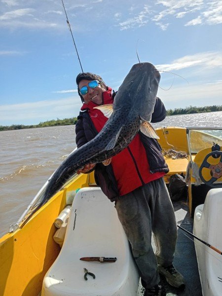Pescador levanta un surubí atigrado en la lancha, Esquina, Corrientes